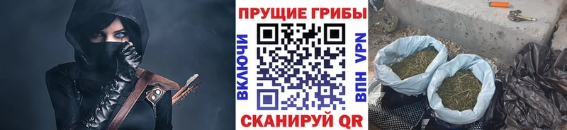 цена наркотик  Губаха  KRAKEN ONION  Псилоцибиновые грибы мухоморы 